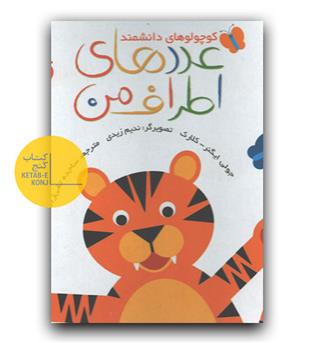 کوچولوهای دانشمند- عددهای اطراف من