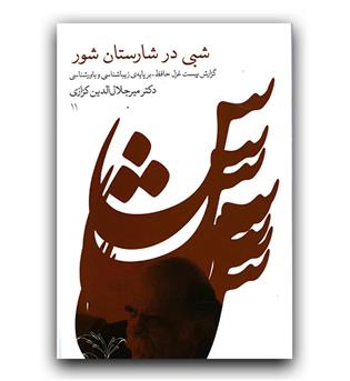 شبی در شارستان شور