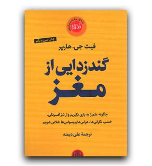 گندزدایی از مغز 