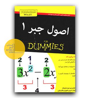 اصول جبر دامیز 