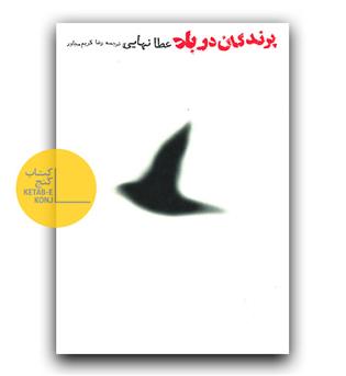 پرندگان در باد