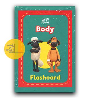 Body Flashcard