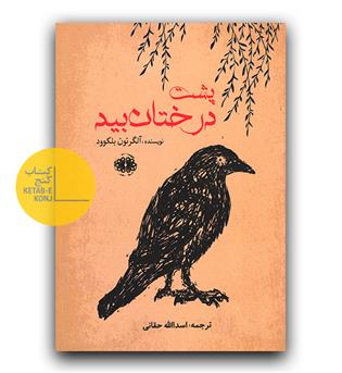 پشت درختان بید