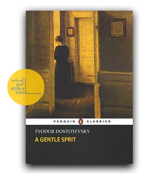 داستان کامل انگلیسی A Gentle Spirit (نازنین)