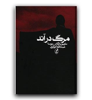 مرگ در آند 