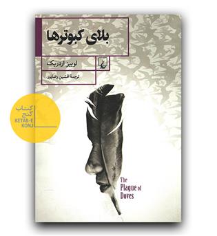 بلای کبوترها