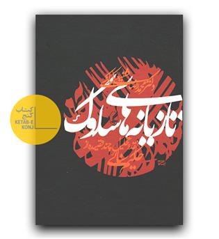 تازیانه های سلوک- نقد و تحلیل چند قصیده از حکیم سنائی