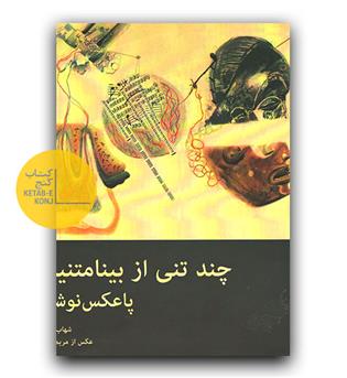 چند تنی از بینامتنیت یا پاعکس نوشت