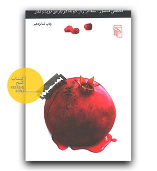 سه گزارش کوتاه درباره ی نوید و نگار 