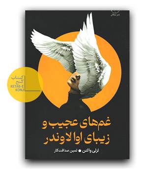 غم های عجیب و زیبای اولاوندر 