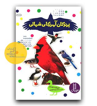 بچسبان و بیاموز 18 پرندگان آمریکای شمالی