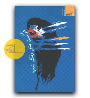 درست مثل رنگ شب