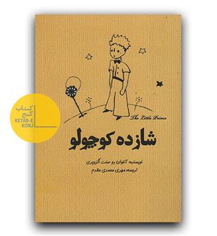 شازده کوچولو 