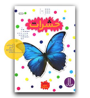 بچسبان و بیاموز 9 حشرات