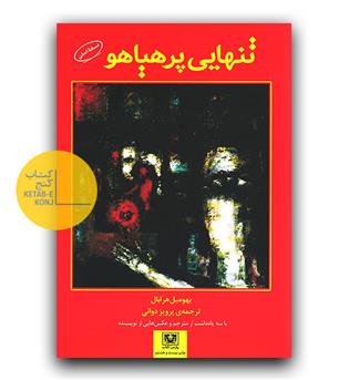 تنهایی پر هیاهو 