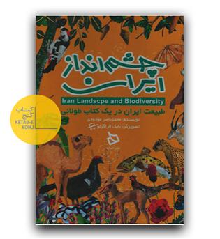 چشم انداز ایران 