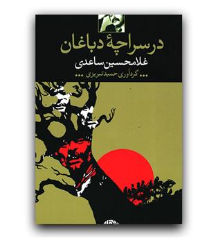 در سراچه ی دباغان 