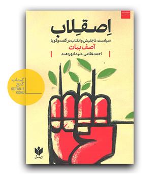 اصقلاب- سیاست، ناجنبس و انقلاب در گفت و گو با آصف بیات