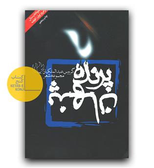 پرنده پنهان