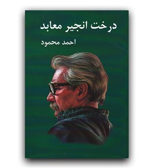 درخت انجیر معابد دو جلدی 