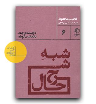 شبه شرح حال 