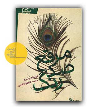 مرقع صد رنگ