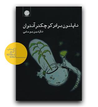 ناپلئون برادر کوچکتر آنتوان 