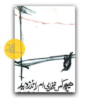 هیچ کس تنهایی ام را ندزدید 