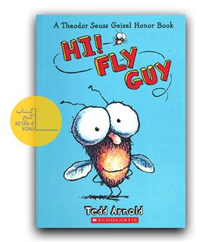 Hi Fly Guy 