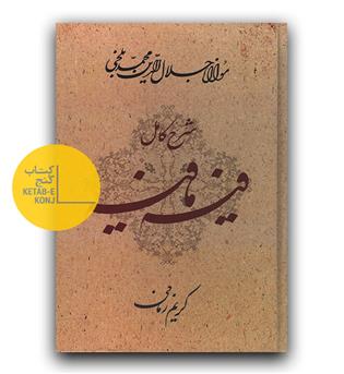 شرح کامل فیه ما فیه