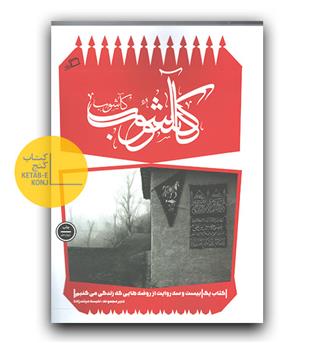 کاشوب 1