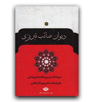 دیوان صائب تبریزی 2جلدی 